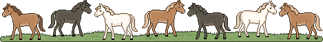 hrsln1a.gif